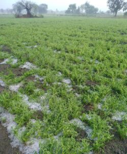 IMG 20220108 WA0028 1 IMG 20220108 WA0028 1