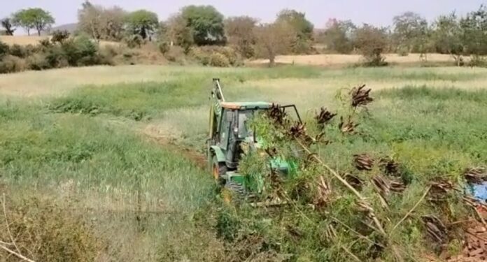 WhatsApp Image 2022 03 25 At 4.57.41 PM 696x375