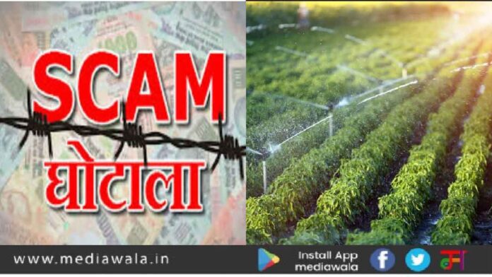 scam-01