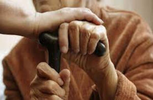 elderly The Stray Woman Was Brought Home