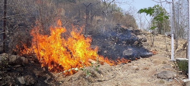 fire