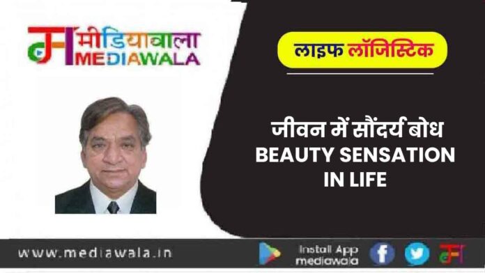 Life Logistics: BEAUTY SENSATION IN LIFE-01 Life Logistics: BEAUTY SENSATION IN LIFE-01