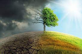 WhatsApp Image 2022 06 05 at 9.59.37 AM Environment Day Special: जीवन का अस्तित्व बचाना है, तो प्रकृति को बचाना जरुरी