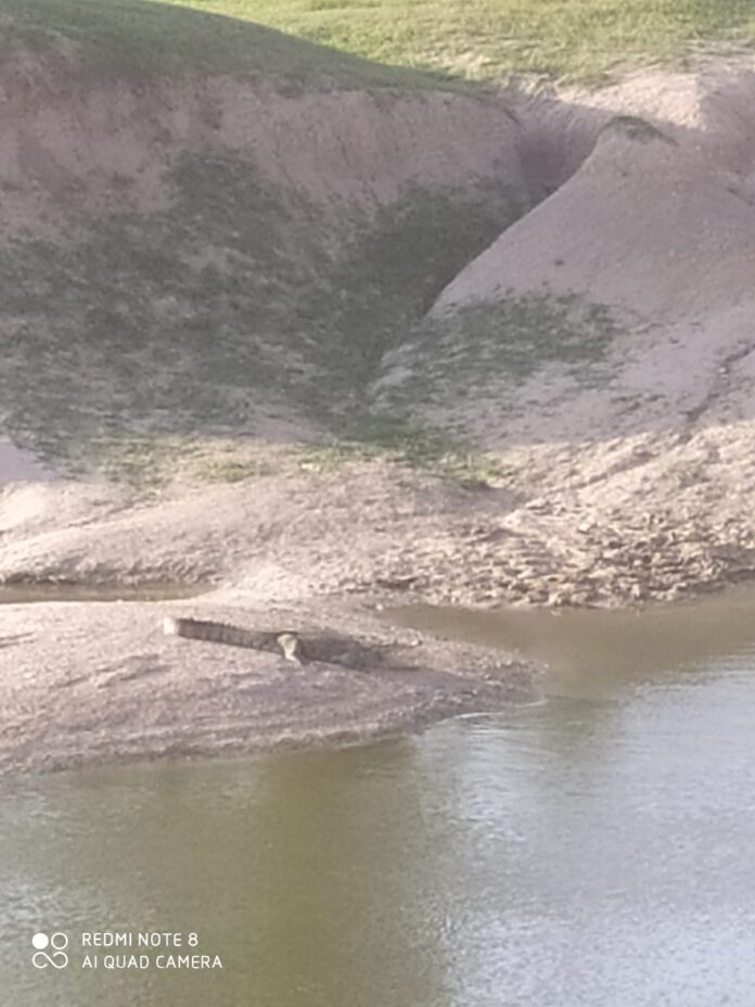 IMG-20220725-WA0031