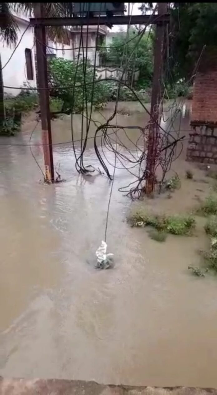WhatsApp Image 2022-07-30 at 5.22.19 PM WhatsApp Image 2022 07 30 At 5.22.19 PM 696x1267