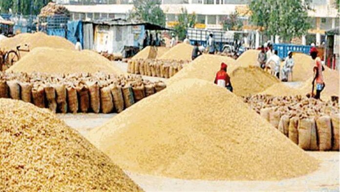 07_06_2022-agriculture_news_22780706 MP News: बदली नीति, अनाज भंडारण में अब सरकारी गोदामों को प्राथमिकता