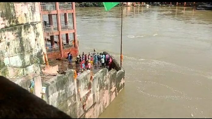 WhatsApp Image 2022-08-18 at 7.21.12 PM WhatsApp Image 2022 08 18 At 7.21.12 PM 696x392