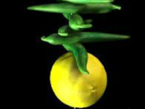 lemon 600 13 1497347079