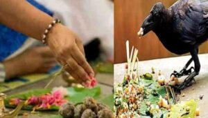 1305073 pitri paksh 2022 1305073 pitri paksh 2022