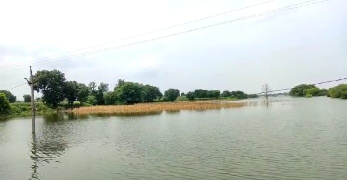 WhatsApp Image 2022 09 12 At 3.10.17 PM 696x362