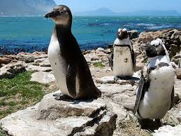 images 14