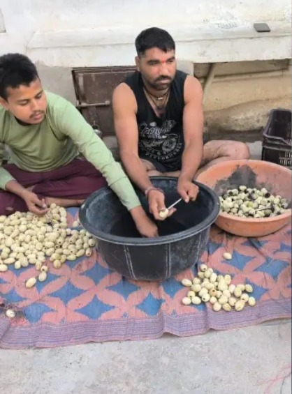 Hingot War : हिंगोट युद्ध में बरसे देसी रॉकेट, सात यौद्धा जख्मी ...