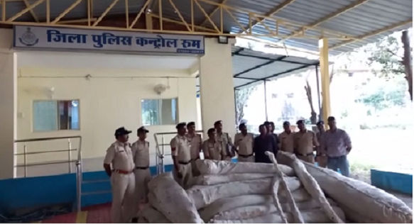 बड़वानी में करीब 7 क्विंटल गांजे के पौधे बरामद, दो गिरफ्तार बड़वानी में करीब 7 क्विंटल गांजे के पौधे बरामद, दो गिरफ्तार