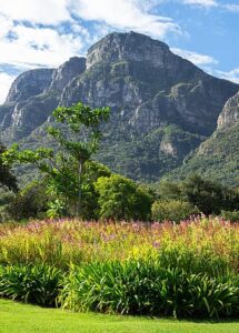 kirstenbosch botanical garden mountain clouds landscape nature sky mountains view garden thumbnail