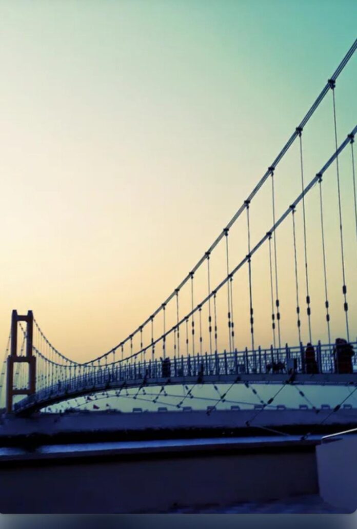 IMG-20221102-WA0012