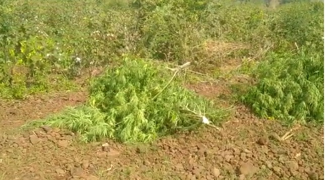 WhatsApp Image 2022-11-18 at 3.33.38 PM WhatsApp Image 2022 11 18 At 3.33.38 PM