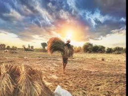 images_1667362895770