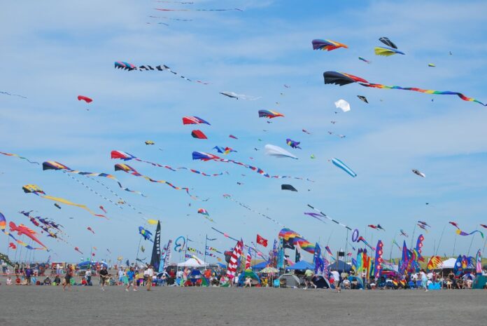 IMG-20221211-WA0056