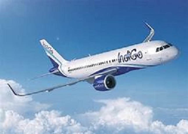 Indigo