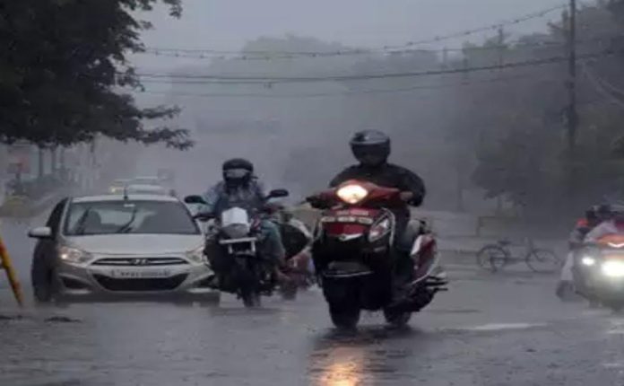 Weather Update : मानसूनी बादल MP पर छाए, 2 जिलों में भारी बारिश के आसार! Weather Update : मानसूनी बादल MP पर छाए, 2 जिलों में भारी बारिश के आसार!