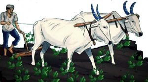 bhartiya kisan par nibandh in hindi bhartiya kisan par nibandh in hindi
