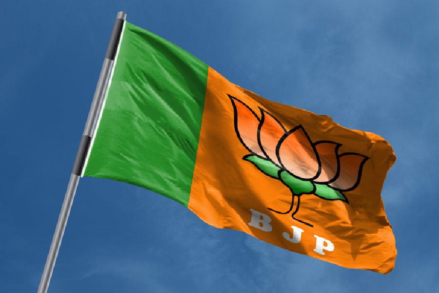 40 Star Campaigner For BJP Countdown Begins