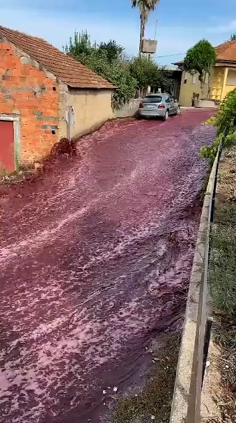 Portugal-town-red-wine-river-22-lakh-litre-wine-viral-video_65001c84a5f8f