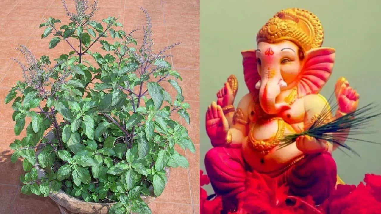 ganesh-and-tulsi-min