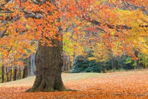ThinkstockPhotos 153536345
