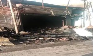 WhatsApp Image 2023 10 13 at 12.25.44