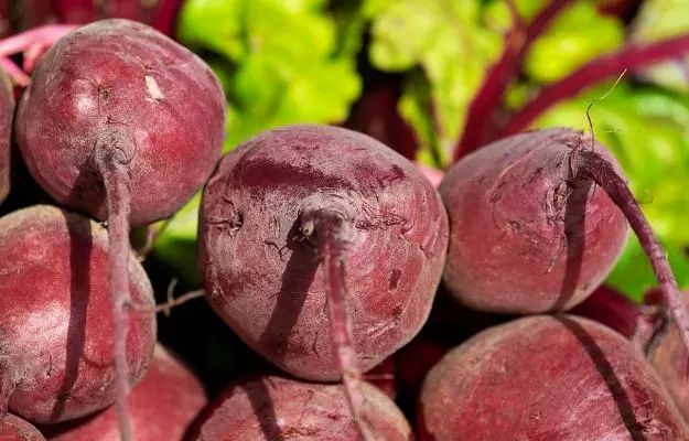 Benefits of Beetroot Benefits of Beetroot