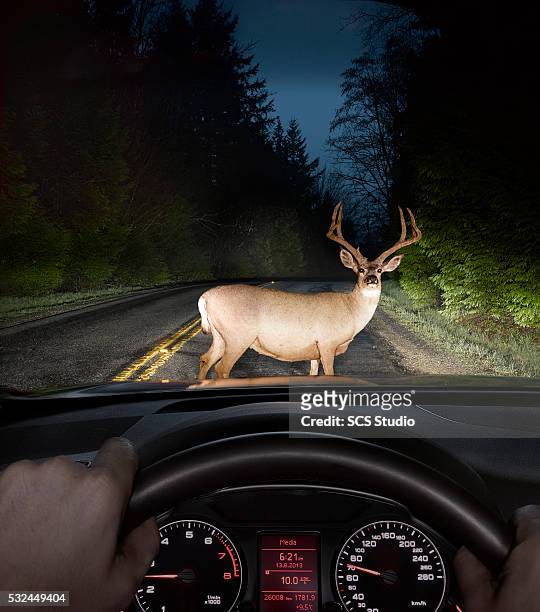 gettyimages-532449404-612x612