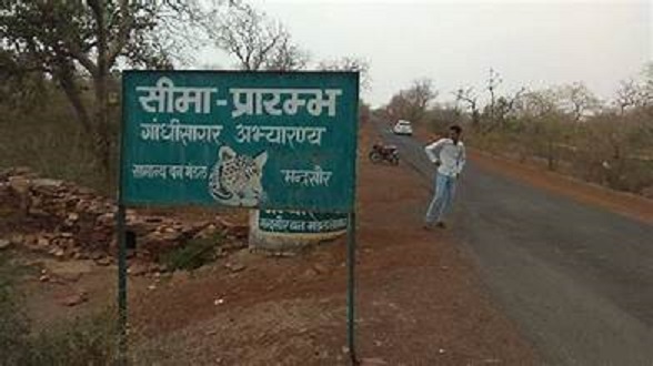 gandhi sagar abhyaranya