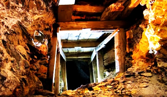IMG-20240223-WA0015