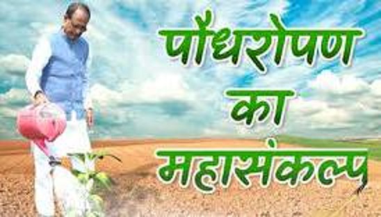 WhatsApp Image 2024-02-19 at 6.51.31 PM WhatsApp Image 2024 02 19 At 6.51.31 PM 1