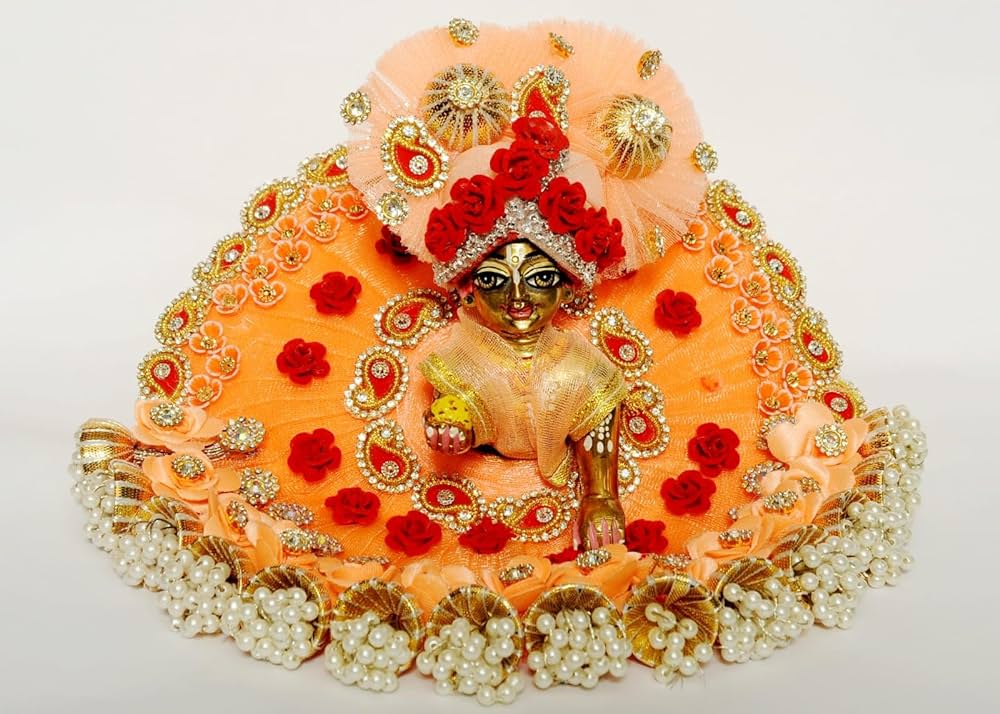 Doctor treated 'Laddu Gopal' Doctor treated 'Laddu Gopal'