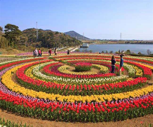 22_04_2021-tulip_festival_kashmir_21580666
