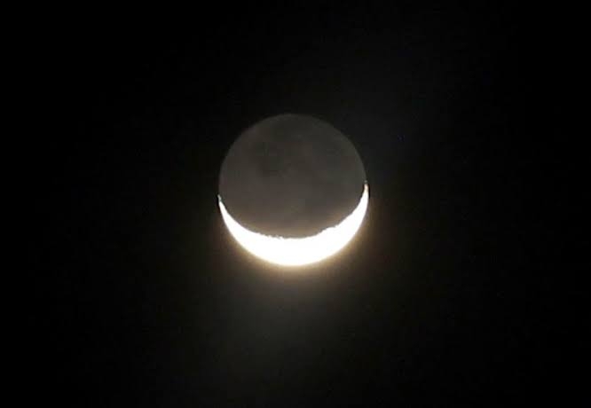 images - 2024-05-12T002108.834 (1)