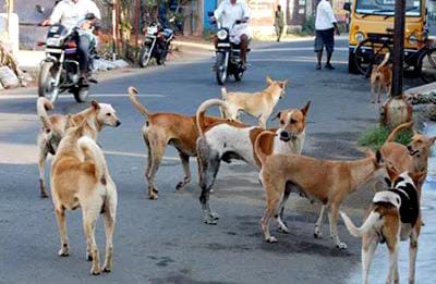 IMG-20240711-WA0090
