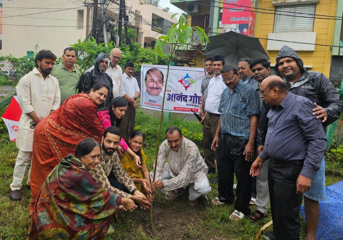WhatsApp Image 2024-07-22 at 19.05.16 Plantation