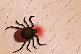 images 2 3