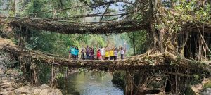 14living root bridge aadhan2