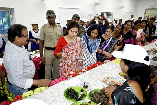 Kissa-A-IAS: फैक डांस वीडियो से चर्चा में आई 2015 बैच की IAS अफसर का असल टैलेंट