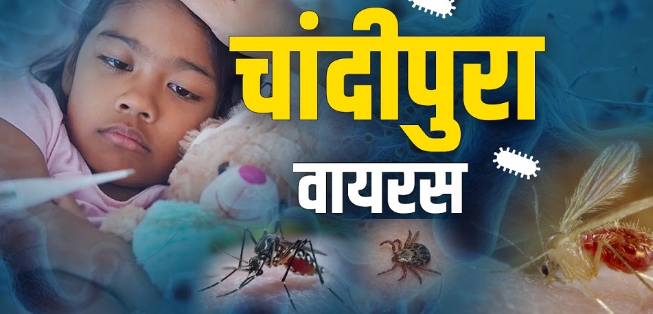 chandipura virus