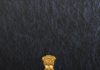 SPS to IPS Promotion: राज्य पुलिस सेवा के 8 अधिकारियों को होगा IPS अवार्ड, भोपाल में DPC हुई IPS Postings