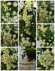 WhatsApp Image 2024 09 01 at 18.44.23 WhatsApp Image 2024 09 01 at 18.44.23
