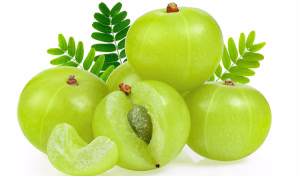 patanjali amla benefit mobilehome patanjali amla benefit mobilehome