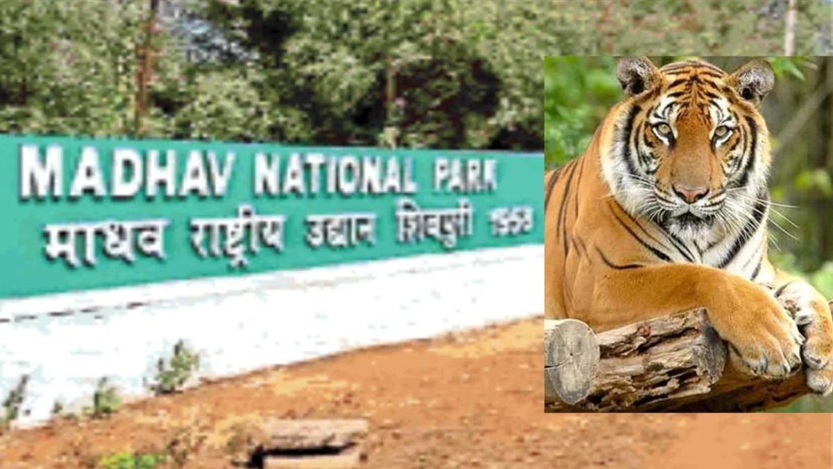 Madhav National Park
