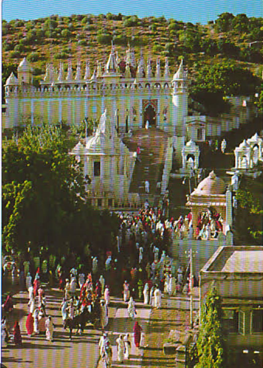 IMG 20250312 WA0017 1