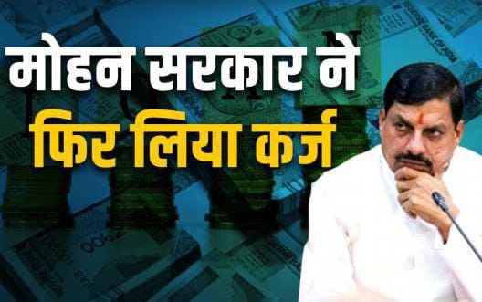 Debtor Government Debtor Government